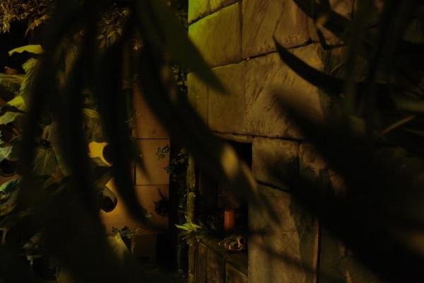 Geheimniss-Escape-room