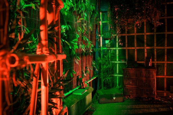 Dschungel-Escape-Room